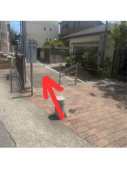 カエデ(Kaede)/【阪急芦屋川駅からアクセス7】