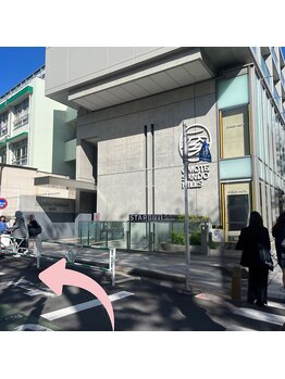 チプン 表参道(Chipn.)/まつげパーマ 道案内 明治神宮前