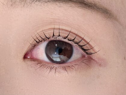 ソラ(SORA)の写真