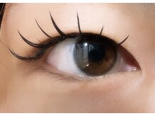 アヴァンセ(AVANCE)/フラット120本