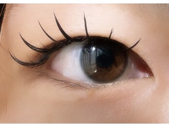 アヴァンセ(AVANCE)/フラット120本