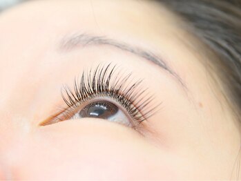 ジョリエスシルズ(Joliesse cils)/＊まつエク＊