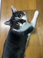 アンドグレース ブロウ 横浜関内店 猫を3匹飼ってます！