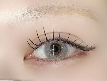 インザピンクリリー(in the pink LILY)/フラットラッシュ