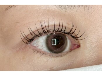 レミア 関内(REMIA)/9月　ダークブラウン