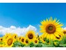 8月SUMMERクーポン☆ボディ30アロマリンパ60ヘッド30￥14300→￥13000
