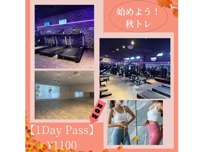 アネラフィット(ANELA Fit)の写真