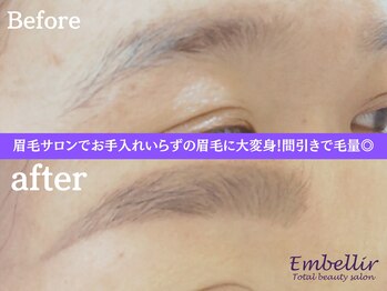 アンベリール(Embellir)/まゆげワックス