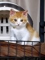 脱毛サロン リッカ(Lycka) 5ヶ月くらいの写真です。