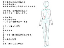 整体家 シン(Shin)/そして首の緊張は脚や骨盤から