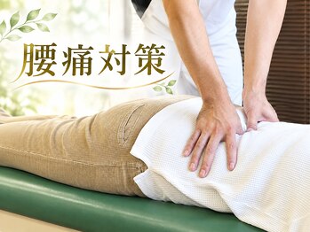 東洋カイロプラクティック わらび西口療術センターの写真/慢性腰痛や繰り返す痛みの原因にアプローチ！腰・骨盤・脚・足まで整え、本来の腰に【蕨/整体】