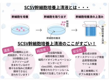 リブ 三軒茶屋(LiB)/最先端エクソソームについて