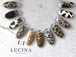 Y -829 アニマル柄