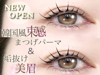 ティーズラッシュ アンド ブロウ ケービューティー 新浦安(T's Lush & Brow K-beauty)/まつげパーマ/眉毛サロン