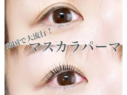 eyelash サンキュウ 池袋店《まつげパーマ/パリジェンヌ/LED/パリエク/マツエク》の写真