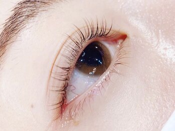 小町ビューティラボ(BeautyLabo)/３ステップまつ毛パーマ