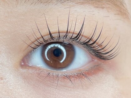 ミイアイラッシュ(mii eyelash)の写真