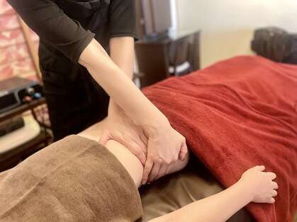 パルム(palm)の写真