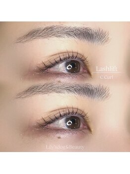 リリーズドッグアンドビューティー(Lily's Dog&Beauty)/ラッシュリフト