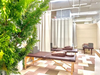 ナチュラルブラウン整骨院/店内