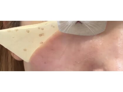 コリー(Cory.)の写真