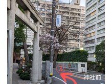 ウェルフル(Well Full)/道順3パーソナルカラー診断