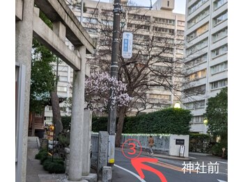 ウェルフル(Well Full)/道順3パーソナルカラー診断