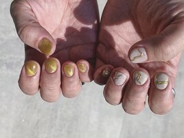 オリーブマグネット