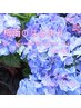 梅雨のはじまり＊第一弾＊ leg集中ケアセット 60分 ￥5.500 →￥4.500