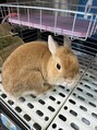 仙豆のちから×ドクターリセット 錦店 我が家のアイドル☆てぃむ