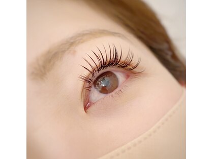 ルック(LOOK)の写真