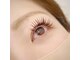 ルック(LOOK)の写真