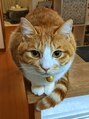 脱毛サロン リッカ(Lycka) キッチンカウンターで料理しているの観察しています。