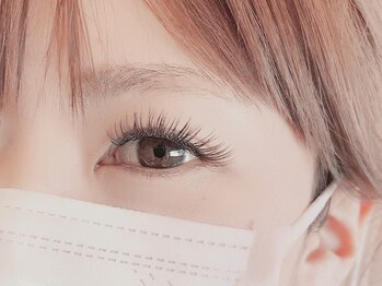 アンジェリーク(Angelique)/フラットラッシュ 付け放題