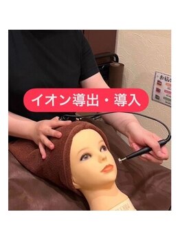 アジール 新潟市(agir)/イオン導出導入