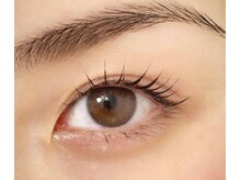 ビー アイラッシュ(BEE eyelash)