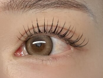 アルヴィー(ARVIE)/LEDフラットラッシュ120本