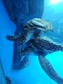 フリーティング(Fleeting) 水族館、動物園大好きです