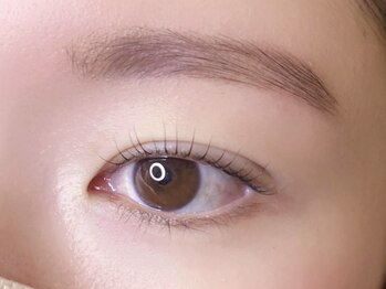 ハロウ/まつ毛パーマ×美眉スタイリング