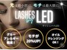 【6週間以内再来・ご新規】最新LEDエクステ140本￥7700
