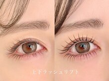 ゼム(THEM)/上下ラッシュリフト