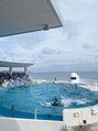 スイウ 中目黒店(SUiU)&nbsp;水族館が好きで全国の水族館を巡るのが目標です！！[中目黒]