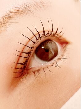 ギャラクシービューティー(galaxy beauty)/大人気まつげパーマ