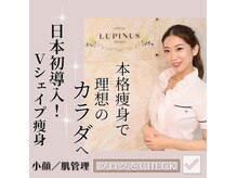 ルピナス ヒサヤ(LUPINUS hisaya)