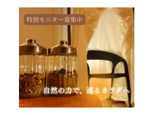 セラピールームやどり木