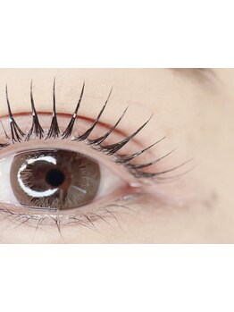 初めての方にオススメ