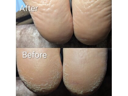 プレヴナンス(Prevenance)の写真