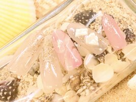 .+..:.* Basicコース*..+.:*