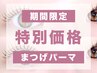 【平日/新規限定】立ち上げまつ毛パーマ(まつげパーマ) ※LDカールのみ 30分 