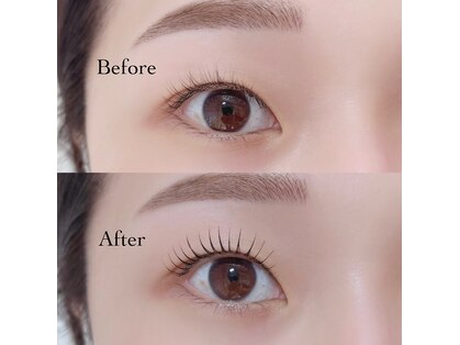 コウメ(coume)の写真
